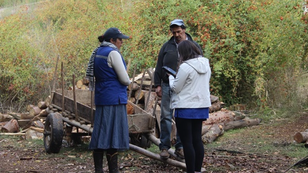 15-06-2016_18-32-349.0-2, 