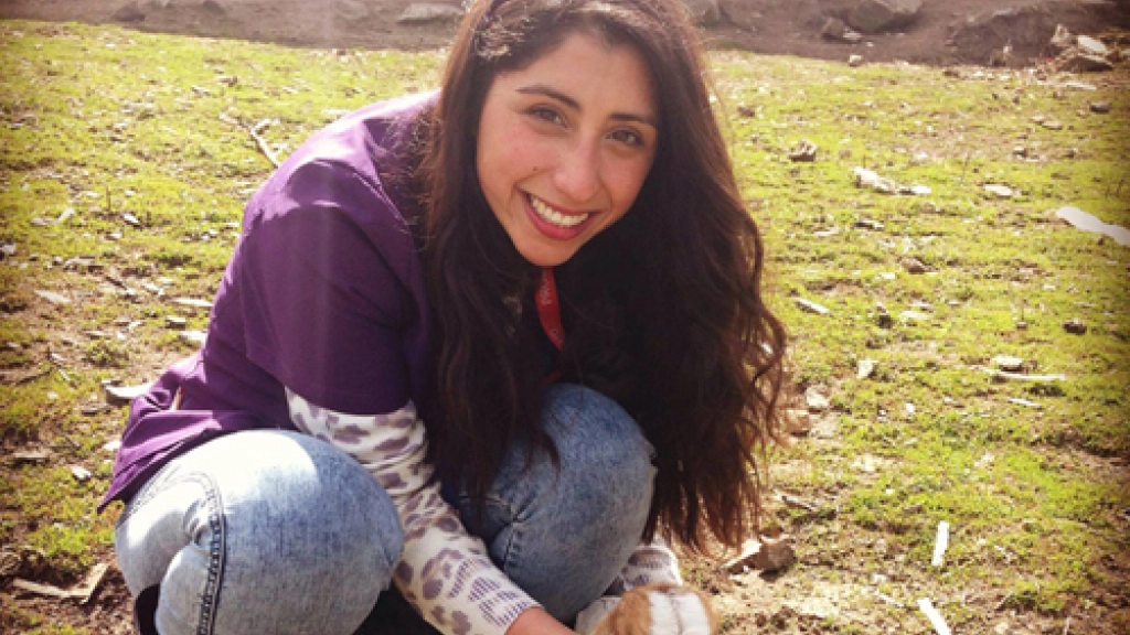 14-06-2016_19-02-59web-2, 