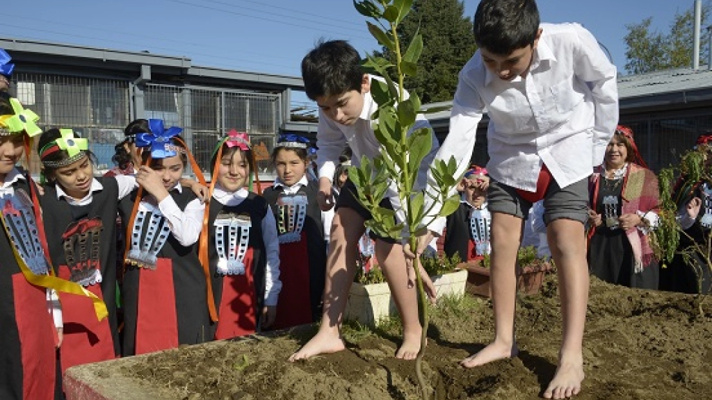 24-06-2016_19-04-179.1-2, 