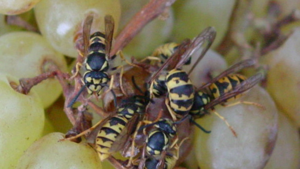 29-09-2016_19-24-368.2, 