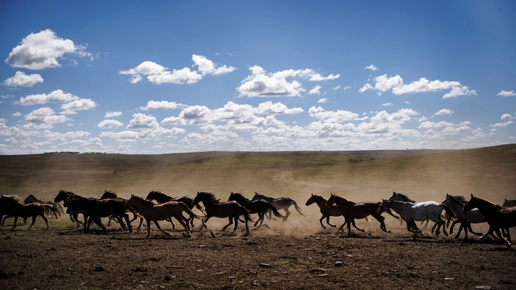 21-10-2016_21-16-39201, 