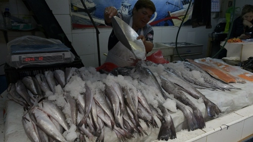 Seremi de Salud intensificará fiscalización de productos del mar en la Provincia del Biobío