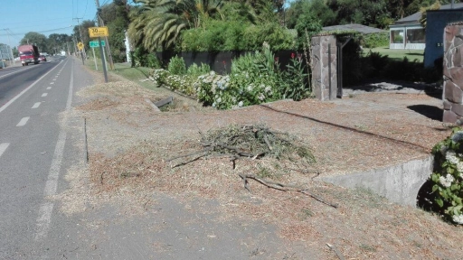 Vecino denunció desechos de árboles dejados fuera de su casa