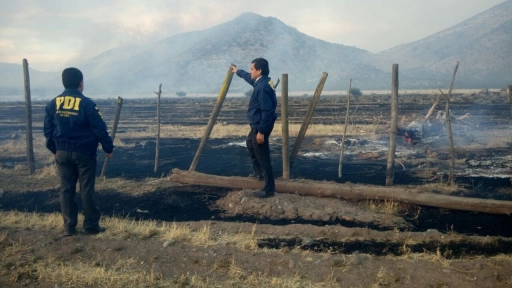 Mujer incendia fundo en Mulchén tras discutir con su pareja