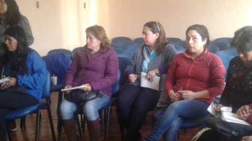 Mujeres mapuches consolidan competencias para dirigir y emprender