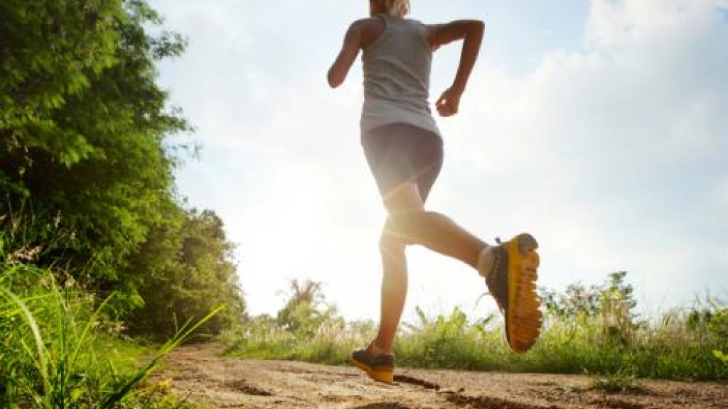 13-10-2017_18-45-011__20_1, 