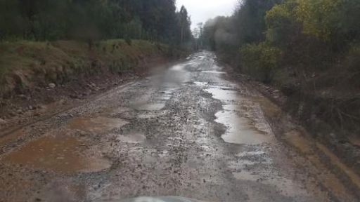 Vecinos denuncian malas condiciones de camino rural al sur de Mulchén