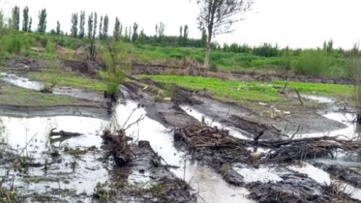 Responsabilizan a la DOH por daños a terrenos colindantes al estero Quilque