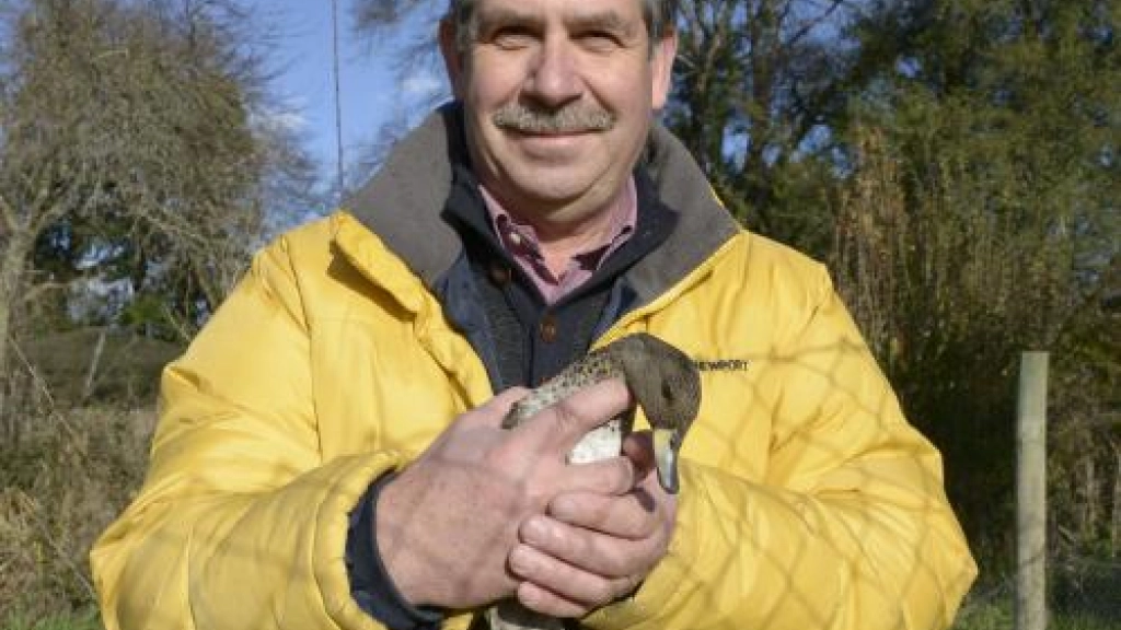 28-07-2017_21-10-541__10.1, 