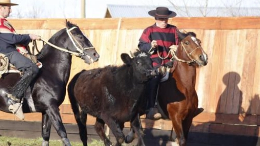 Club de rodeo Chacaico estrena nuevas dependencias en la localidad de Santa Fe