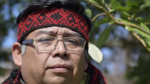 Dirigentes mapuches en Biobío solidarizan con comuneros en huelga de hambre