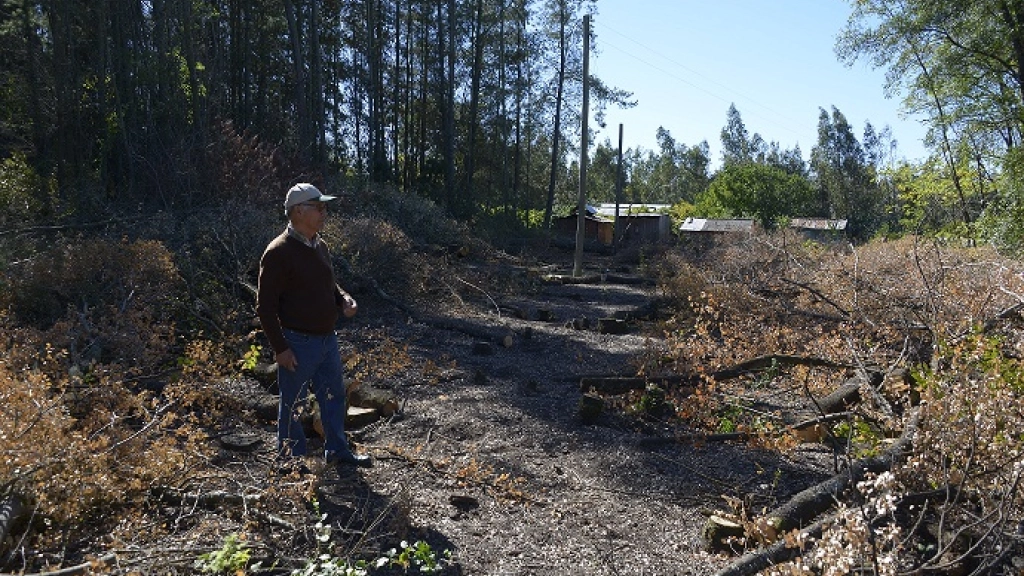 16-04-2017_21-16-189.1, 