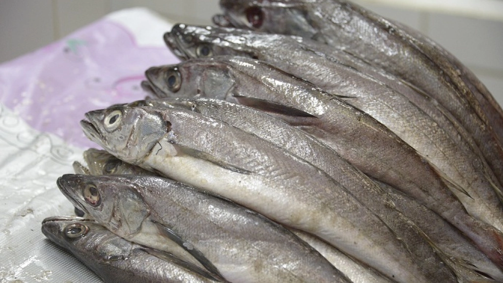 17-04-2017_19-32-307.1, 