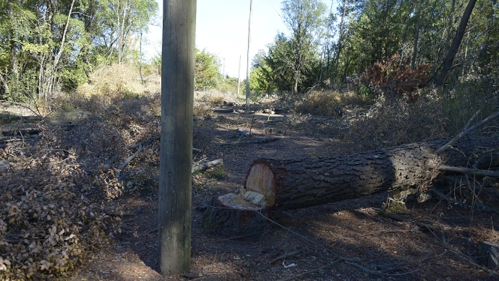 17-04-2017_19-19-159.1, 