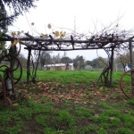 12-05-2017_18-38-5216112-05-17, 