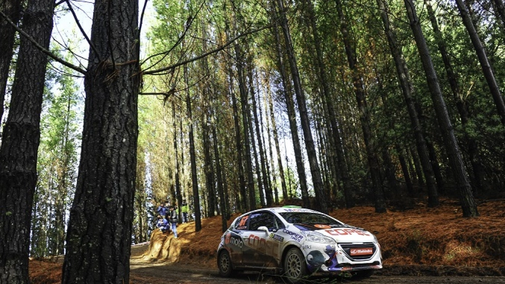 05-06-2017_22-06-51chaleco-conce-rmobil-dhimages-0276, 