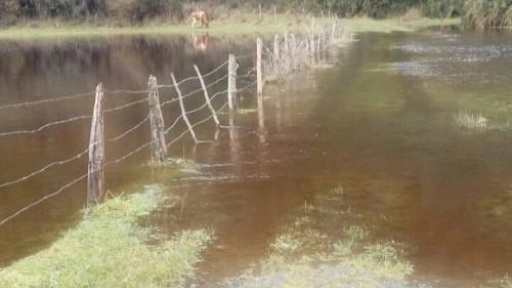 Crece la preocupación de productores lecheros por efectos del sistema frontal