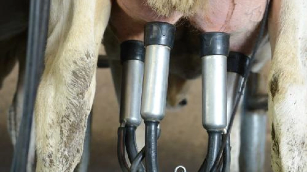 12-07-2017_18-36-151__82, 