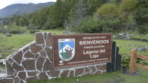 Parque Nacional Laguna del Laja: el mejor escenario para un picnic en familia