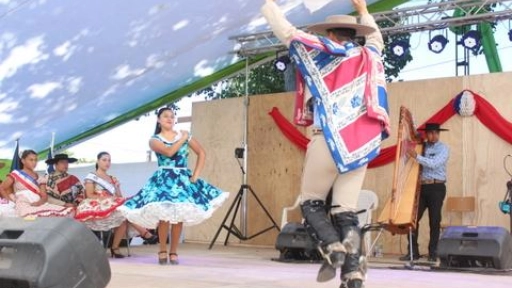 Cientos de personas disfrutaron de una nueva versión de la Feria Costumbrista de Coigüe