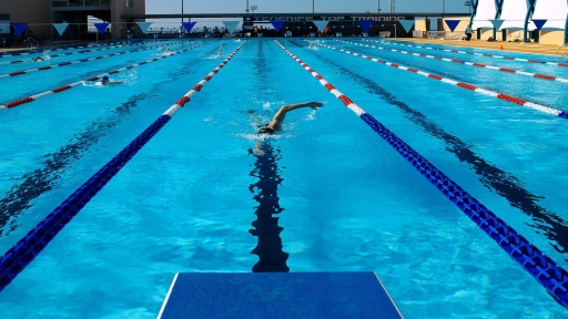 Para practicar este verano: Las ventajas de la natación