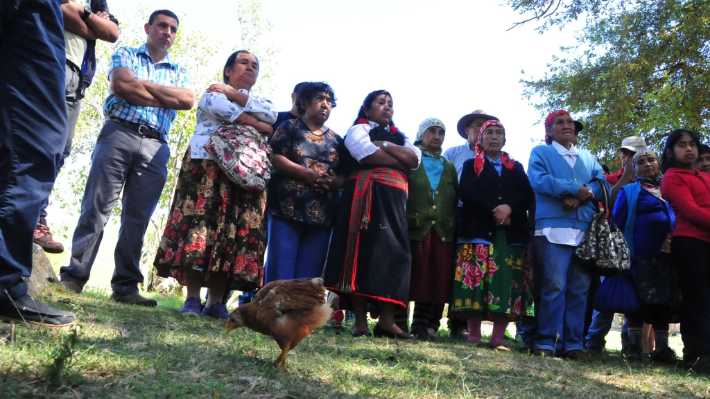 23-01-2018_19-02-061__14.1, 