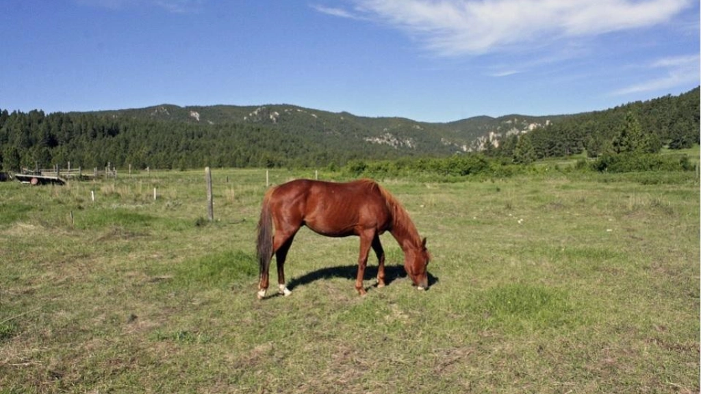 28-01-2018_20-31-441__14.1, 