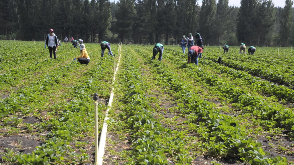 30-01-2018_18-21-371__11.1, 