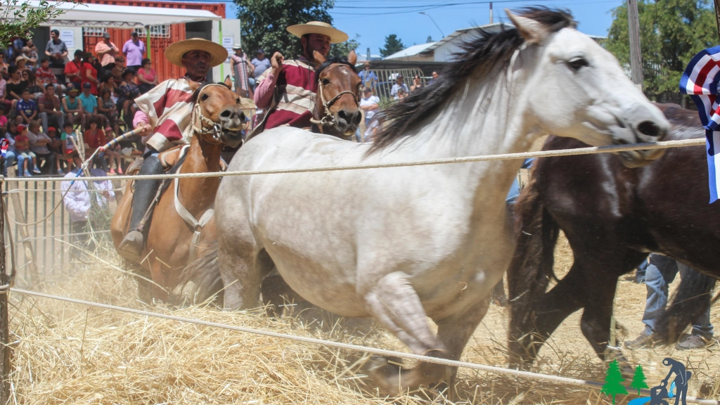 30-01-2018_19-02-141__14.1, 