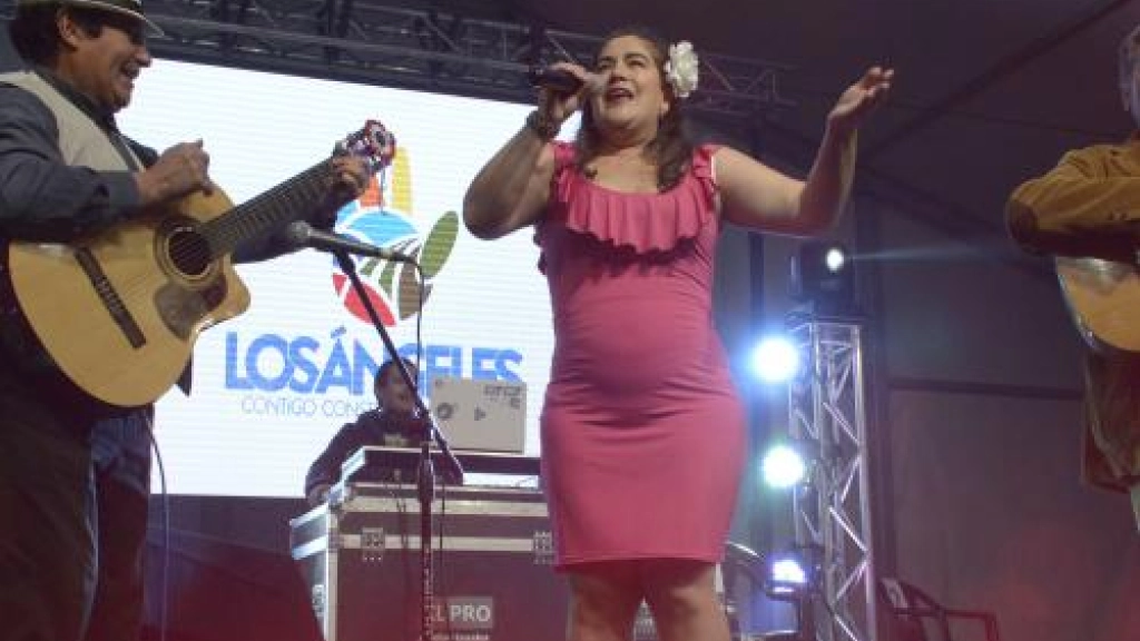 01-08-2017_18-13-021__FIESTAGUCHACA122, 