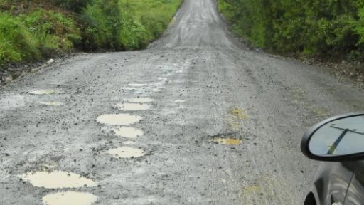 Un plan para mejorar los caminos rurales pidió el senador Pérez Varela