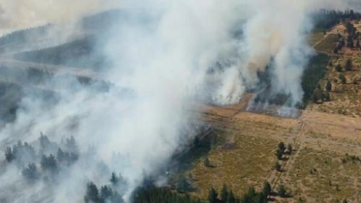 Plan de combate contra incendios forestales despierta dudas en parlamentario