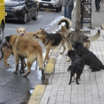 18-02-2019_21-31-481__6.1.jpg, 