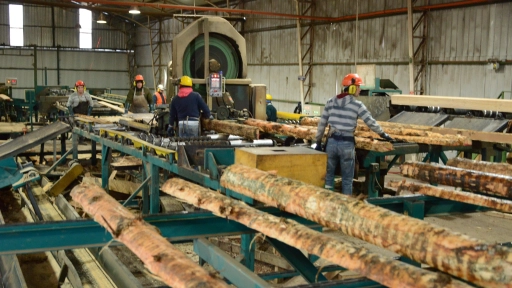 Biobío sube al 6º puesto en Índice de Competitividad Regional: Experto plantea desafíos 