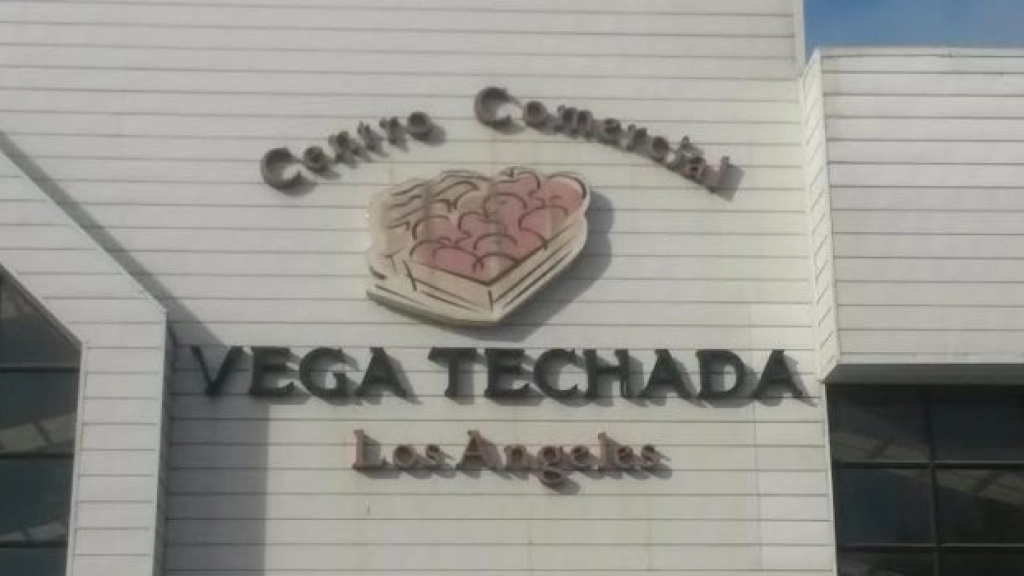 Vega, 