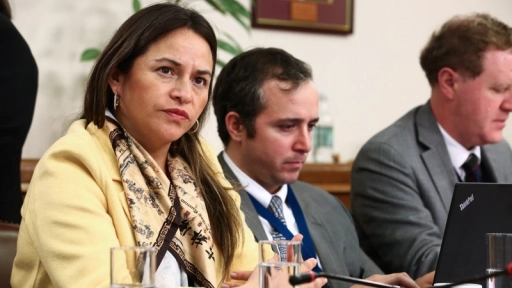 Diputada Joanna Pérez pide al ministro Moreno suspender consulta indígena