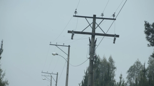 Más de 95 mil metros de tendido eléctrico  han sido sustraídos en la provincia