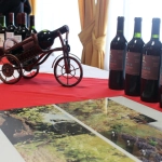 VIÑAS 2, 