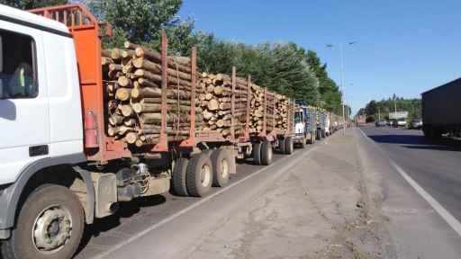 Según CORMA las exportaciones forestales anotaron una caída del 11% en octubre