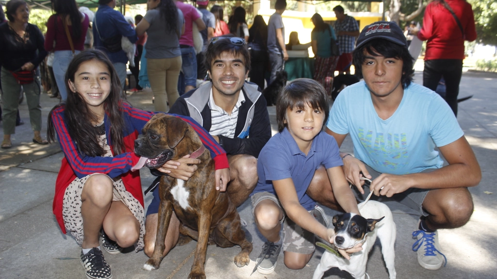 Plaza Pinto- Vacunación perros (7), 
