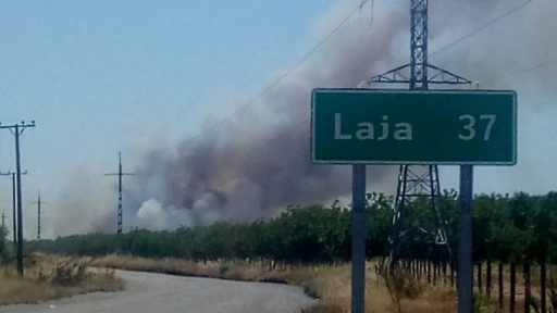 Incendio forestal en el límite con Laja consume 65 hectáreas