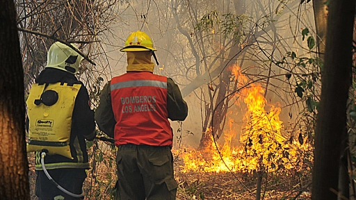 Comando Unificado combate los incendios en el sur de Chile