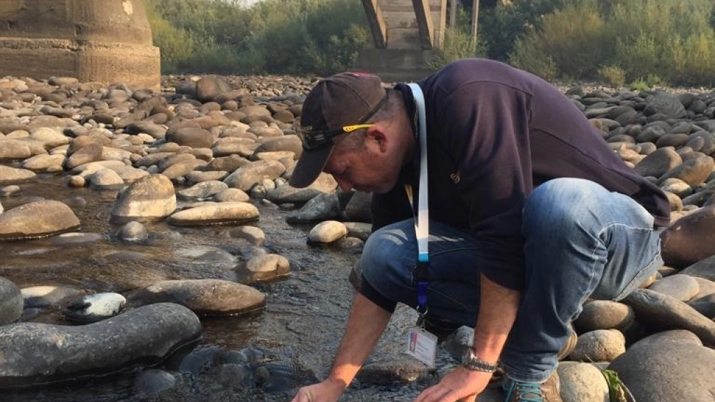 72, profesionales de Sernapesca exploran los ríos buscando el dydimo, 