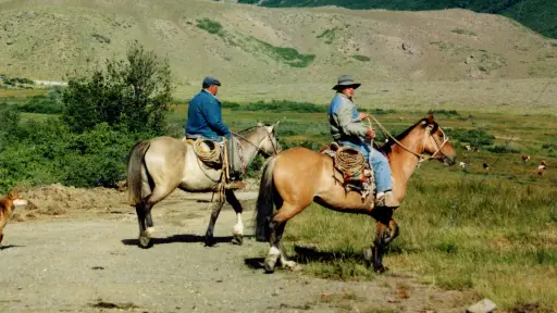 Memorias de Biobío: El paso de Atacalco que está Arriba en la cordillera (de Biobío)
