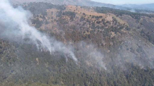 Brigadas helitransportadas combaten tres incendios forestales simultáneos en Alto Biobío