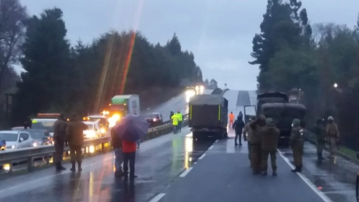 Productores forestales se suman a paro de camioneros para decir No + violencia