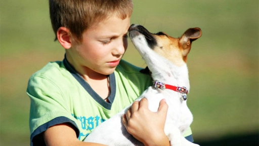 ONGS de tenencia responsable de mascotas son premiadas con 21 millones en Laja y Cabrero