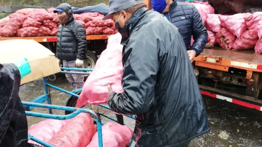 Agricultores donan más de 8 toneladas de papas para ollas comunes de la región del Biobío