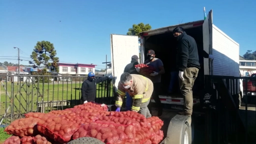 Cooperativa Mapuche de Tirúa dona 4.500 kilos de papas para Comunidad Indígena de Santa Bárbara y comedores solidarios de Arauco