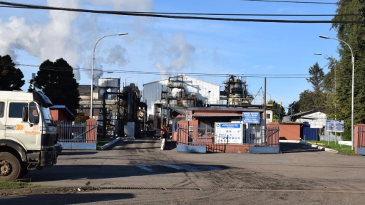 SNA advierte riesgo para la remolacha chilena tras decisión de Iansa de suspender contratación